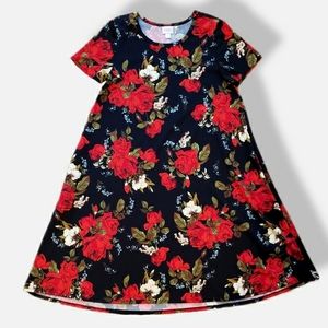 Lularoe Jessie Dress - Small